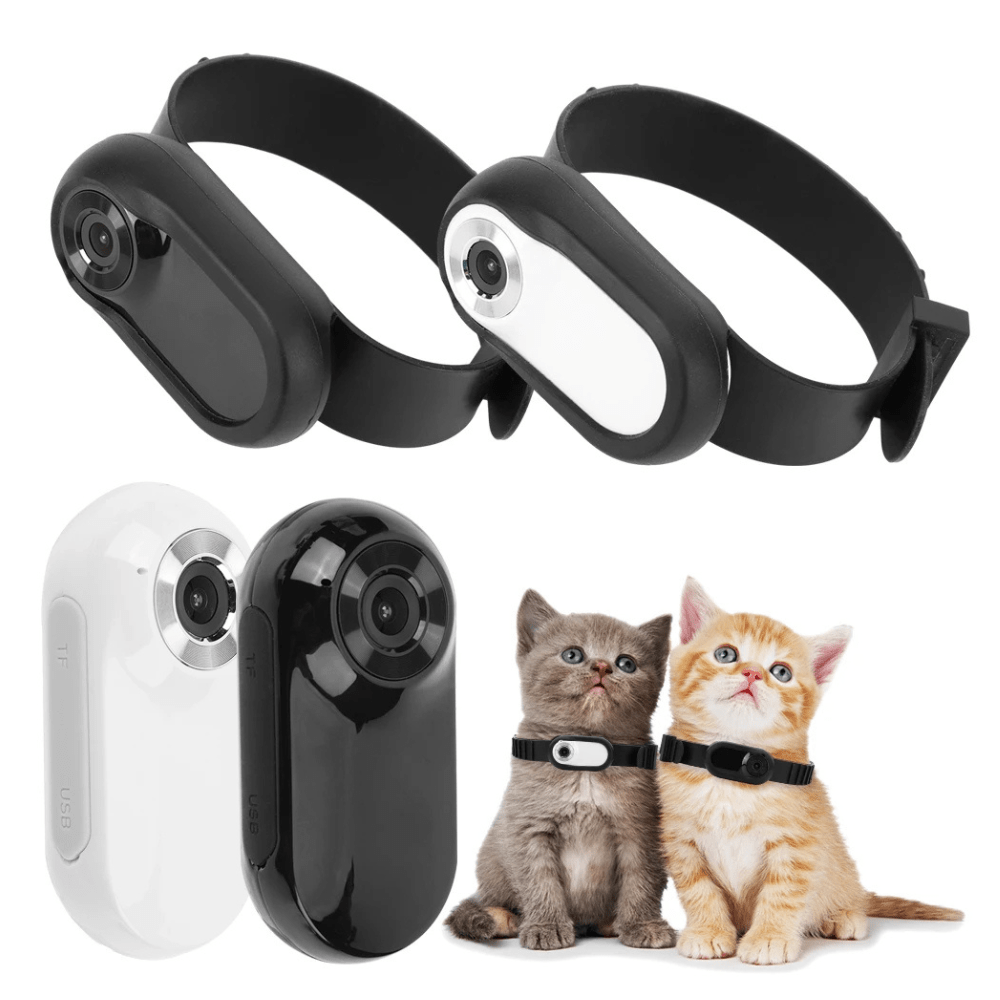 Camera Collar for Cats & DogsUnlock the secret life of your furry friend with our Camera Collar for Cats & Dogs! This innovative, easy-to-use device lets you see the world from your pet's peCamera Collar for Cats & DogsPanystore.euCamera Collar for Cats & DogsPanystore.eu