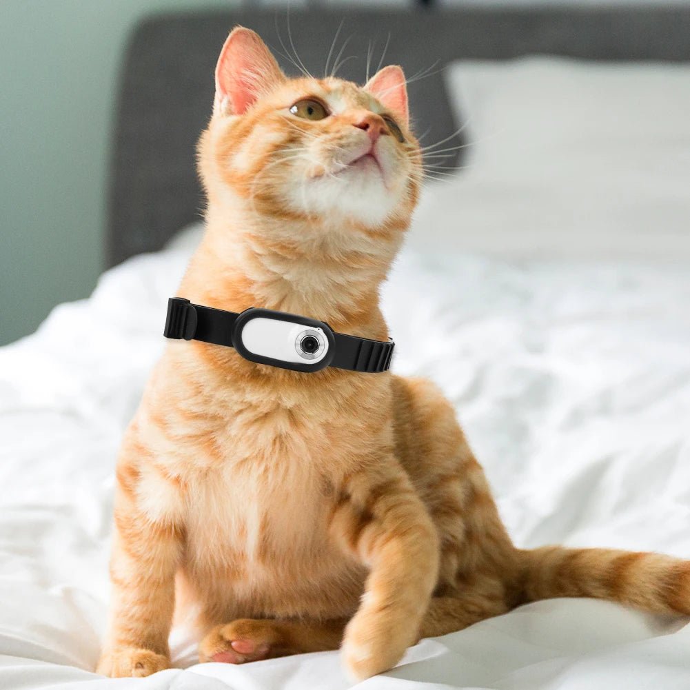 Camera Collar for Cats & DogsUnlock the secret life of your furry friend with our Camera Collar for Cats &amp; Dogs! This innovative, easy-to-use device lets you see the world from your pet's peCamera Collar for Cats & DogsPanystore.euCamera Collar for Cats & DogsPanystore.eu